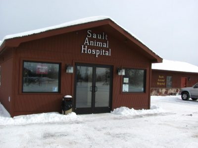 Veterinarian in Sault Ste. Marie, MI